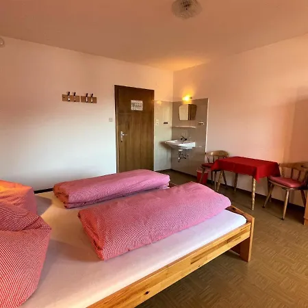 Roggenboden - Wil270 By Interhome Apartment Oberau
